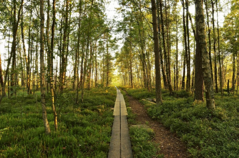 Hova – småstadslugn med stor potential